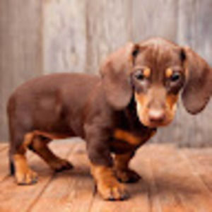 Meet your Posher, Jack